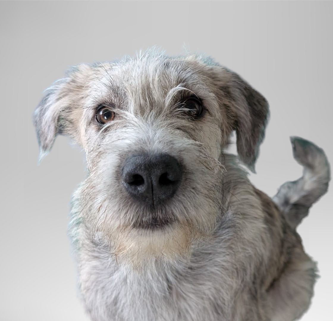 Portrait of Ralph